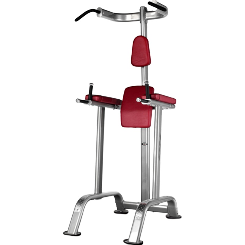[健芬欣] 必艾奇(BH)训练器商用L900单双杠多功能力量综合训练器健身器材