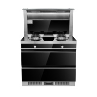 大臣(Dachen)集成灶JJZY-900A1 液化气 集成环保灶 烟灶消一体 套餐