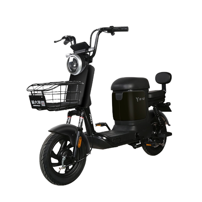 派乐/PALLA KX 电动车新国标电瓶车48V12AH男女士成人踏板代步车两轮电动自行车 亮黑色