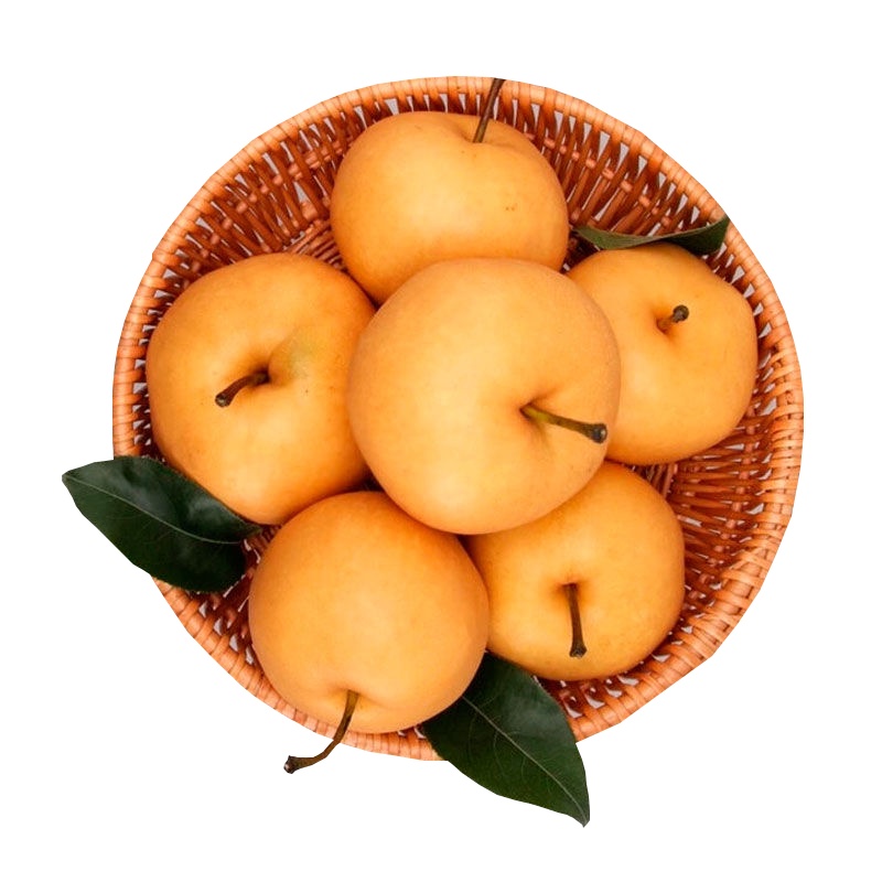 [五个农民]Super会员精选山东秋月梨精品礼盒装 6枚特大果 当季新鲜水果梨子礼盒整箱