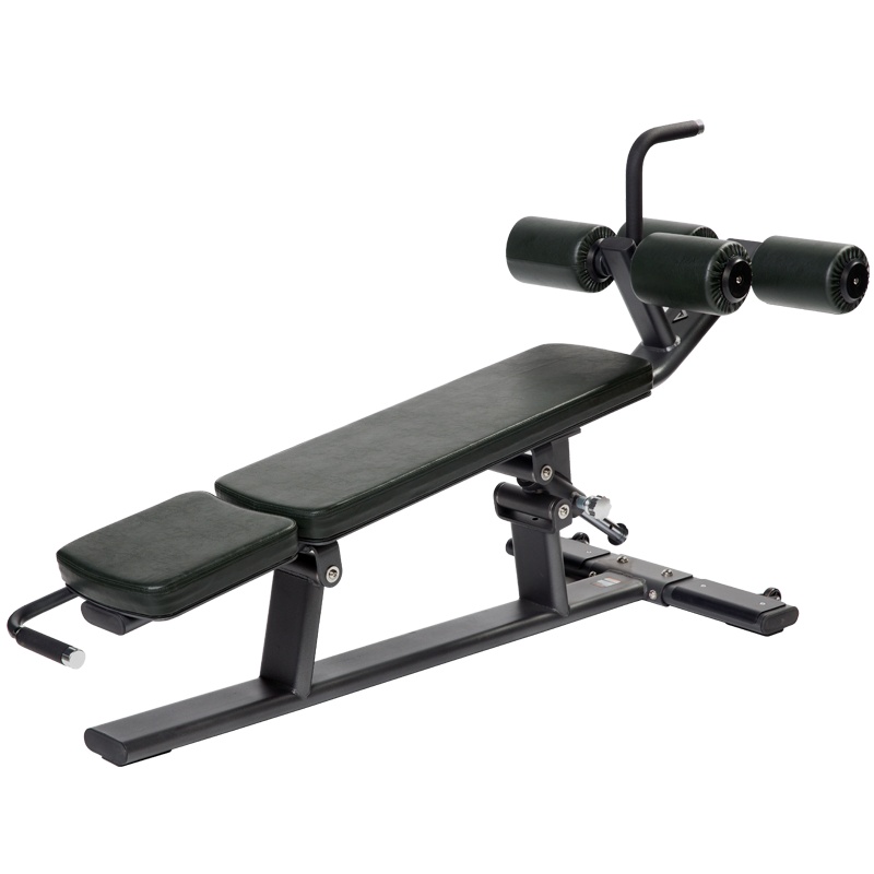 舒华大型多功能可调式健身房下斜推举腹肌练习椅运动健身训练力量器械SH-G6879