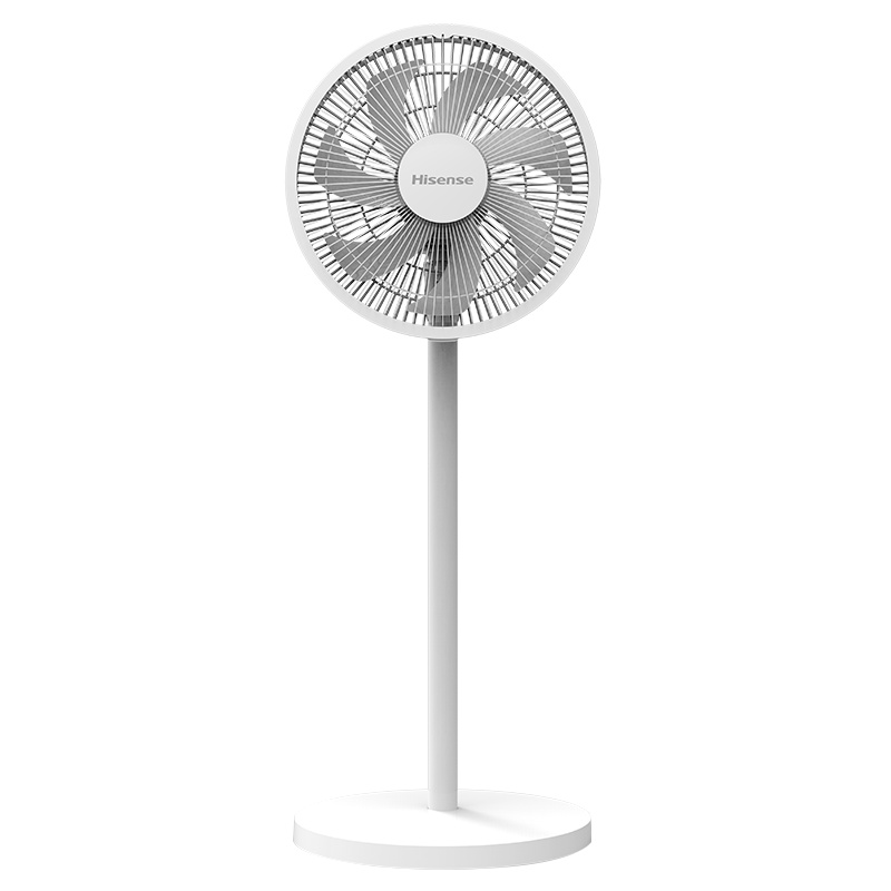 海信(Hisense)电风扇三档风速遥控定时台地两用工业落地扇家用轻音台式大风节能省电宿舍立式电扇FLY-AN3002