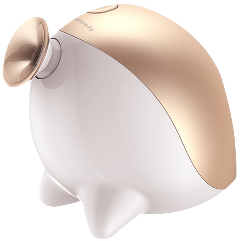 渲美蒸脸仪打开毛孔排毒纳米喷雾补水仪家用热喷蒸脸器加湿美容仪TB1586