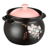炊大皇陶瓷煲炖锅可高温明火多功能养生炖鸡汤中药小容量2.5升家用砂锅XQ25TC