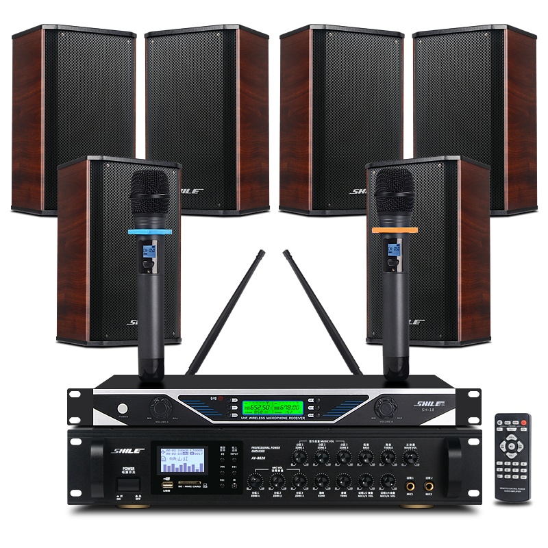 狮乐会议室音响组合套装(功放+壁挂音箱)专业会议背景音乐音响系统可选无线话筒套餐 8820+BX-108红*6+SH18