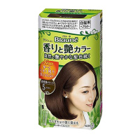 Kao花王旗下 Blauné倍采盈 膏状染发剂 5#深棕色 遮白发