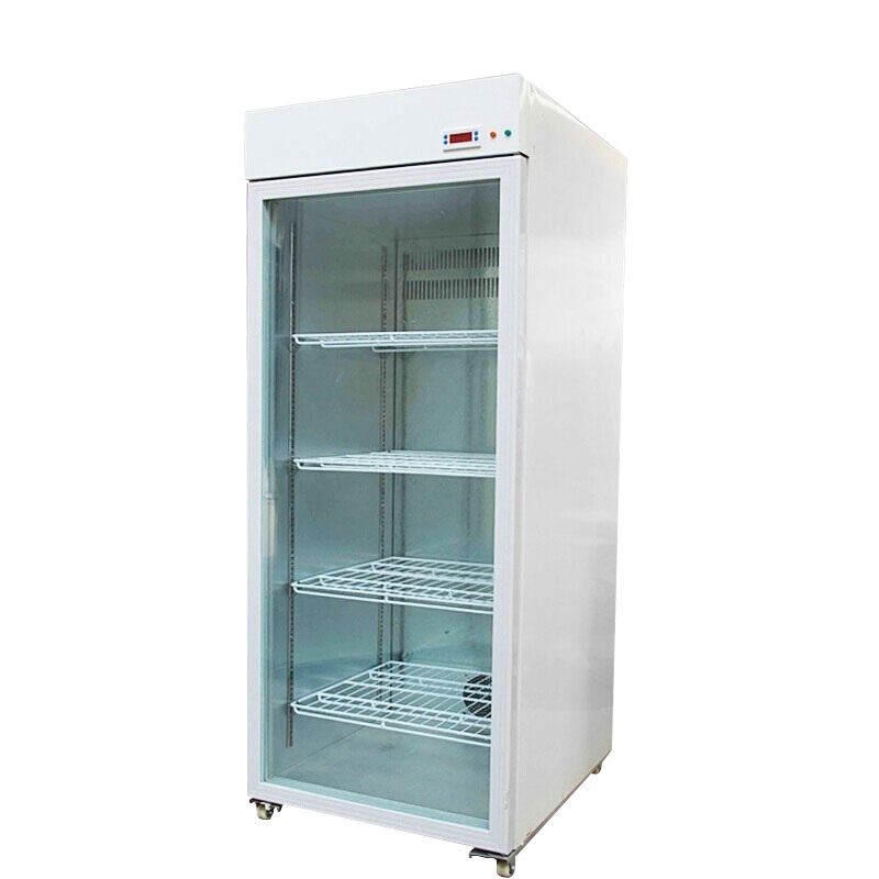 夏新(AMOI) 500升热饮柜商用饮料保温柜展示柜 牛奶咖啡饮料保温柜 热饮机饮料柜 超市便利店立式加热柜