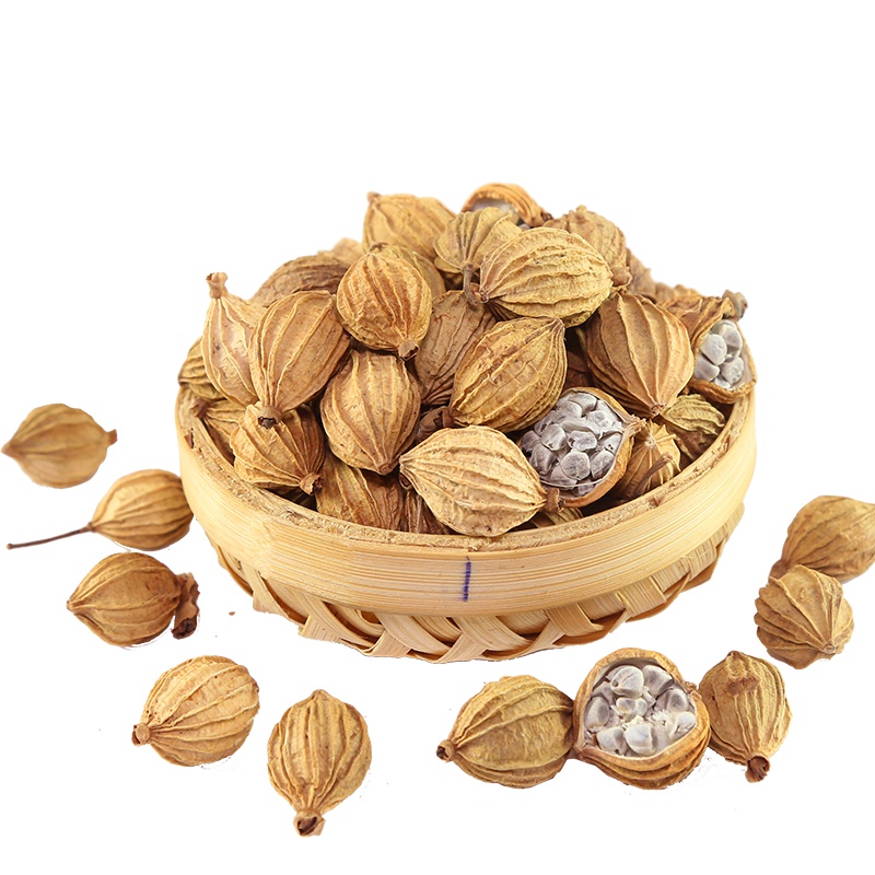 爱蜀味 无硫熏香砂仁 天然川砂仁 川沙仁 学名艳山姜 卤料香料调味品50g