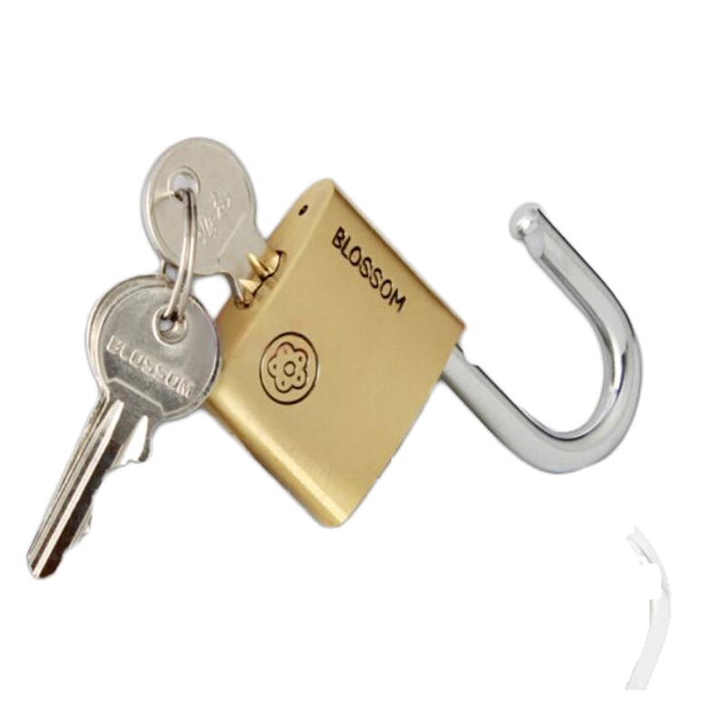 铜挂锁 自动门锁 防水防锈办公室宿舍铜锁 60mm 个