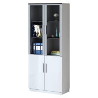 鑫金虎 烤漆文件柜现代简约办公柜铝合金框资料柜储物柜储存柜多门数可选