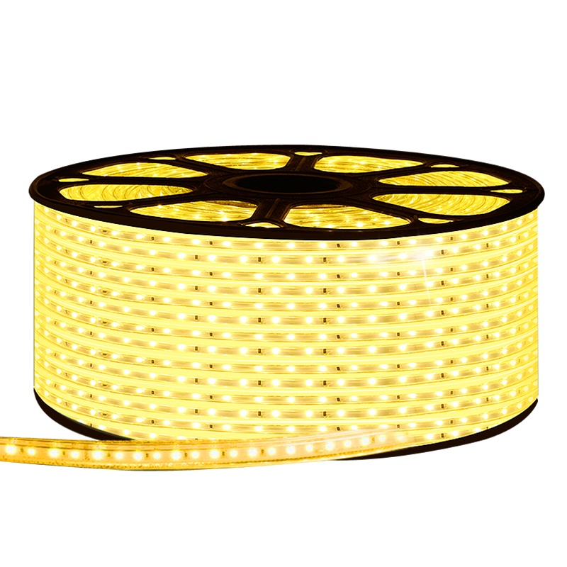 德力西LED灯带照明客厅节能长条灯带 吊顶霓虹七彩灯带220v家用