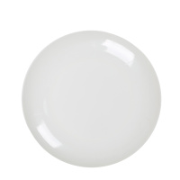 10英寸 圆形塑料菜盘碟子 25cm