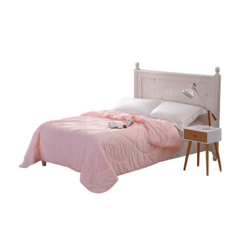 百丽丝家纺 水星出品 柔绒保暖双人春秋被子被芯 爱美丽暖柔夏被/春秋被/二合一被 床上用品