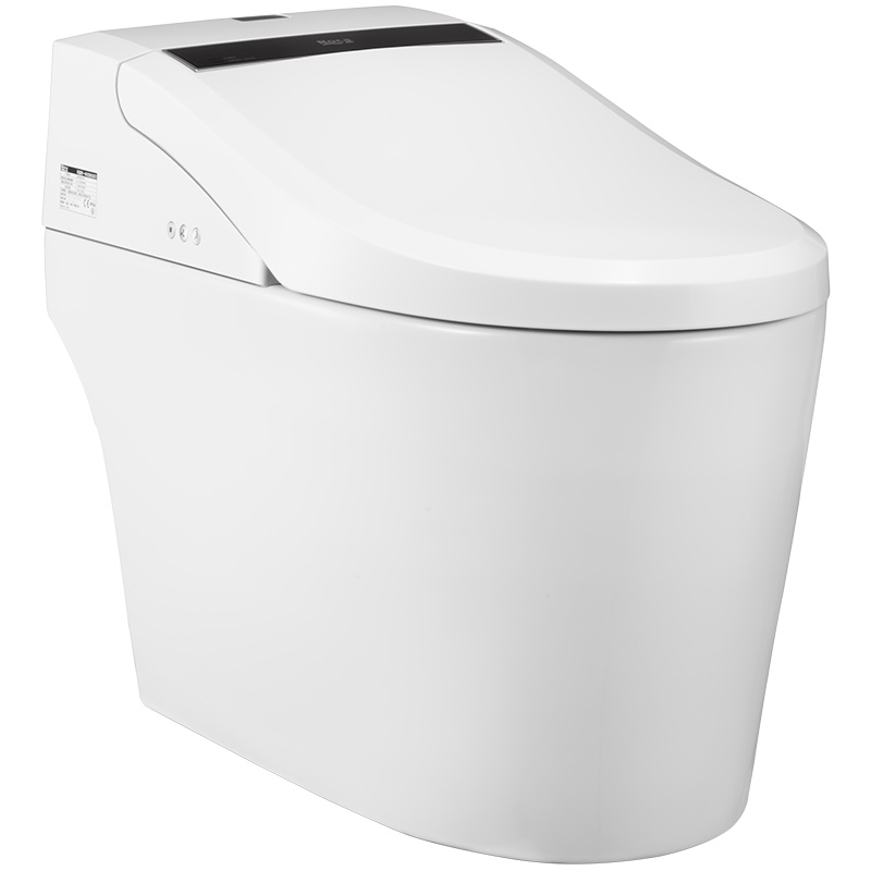 ROCA/乐家卫浴一体式智能马桶全自动多功能即热式智能遥控坐阿笛思一体式智能座厕305mm,金色 地排喷施虹吸式