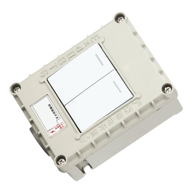 防爆开关 企业定制