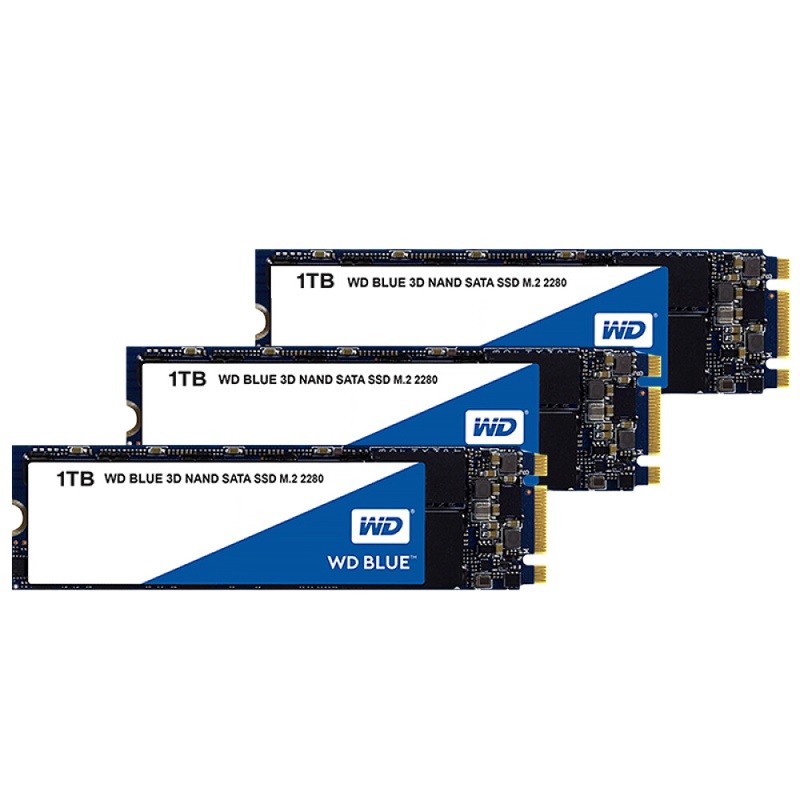 西部数据(WD)1TB SSD固态硬盘 M.2接口(SATA总线) Blue系列-3D进阶高速读写版