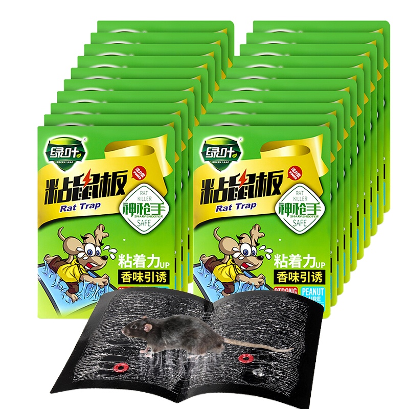 绿叶(Green Leaf)粘鼠板粘老鼠贴灭鼠板老鼠粘板捕鼠器20片装GL02113