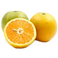 橙子 精选5斤装