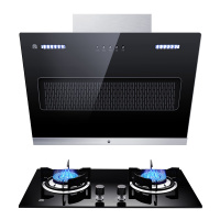 容声(RONGSHENG)油烟机燃气灶具套餐RS02PE+QP01 侧吸式17m³大风量吸的净 天然气