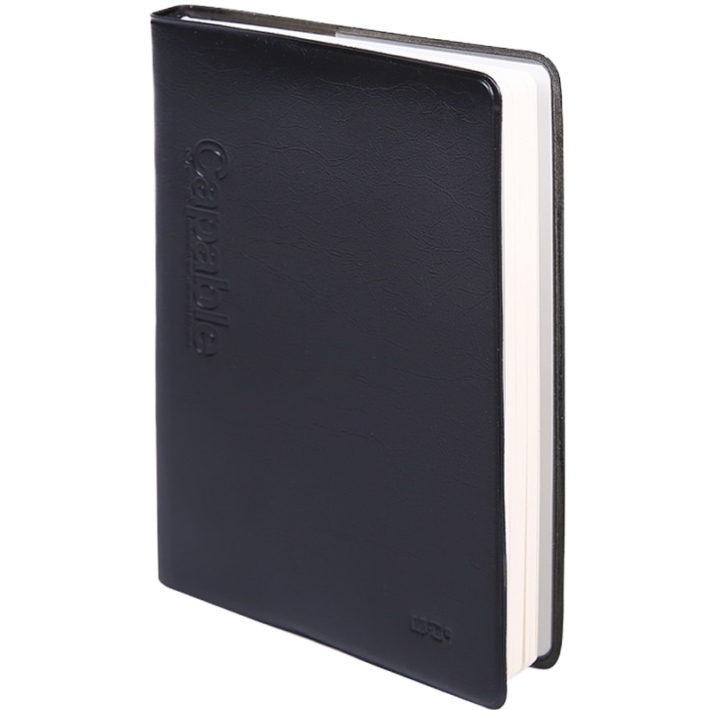 晨光(M&G) A6雅纹皮本100页雅致办公APYLN488单本装