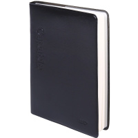 晨光(M&G) A6雅纹皮本100页雅致办公APYLN488单本装