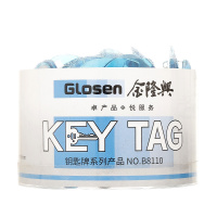金隆兴(Glosen)B8110 钥匙管理箱专用钥匙扣套装 50个/盒