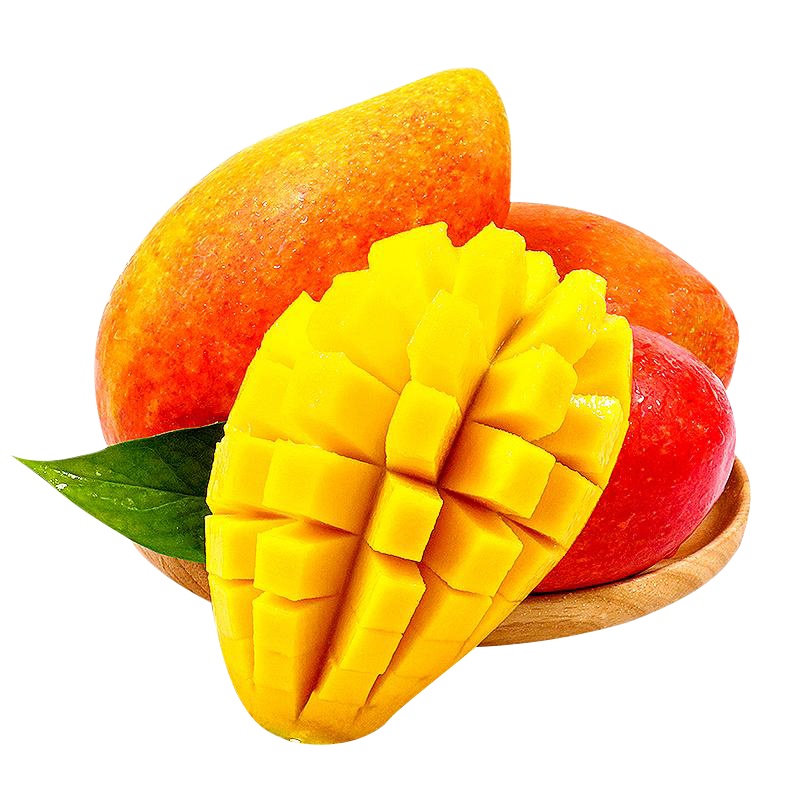 [鲜贝达生鲜]广西南宁贵妃芒果 净重5斤大果(18-21个) 单果120g以上 超甜新鲜水果