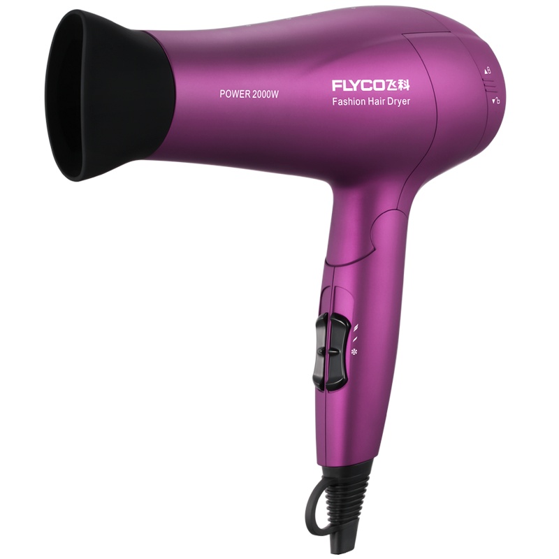 飞科 FLYCO 电吹风FH6618 2000W大功率负离子双重防过热保护健康柔风六档变速控温可折叠家用吹风机