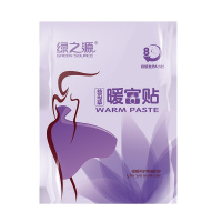 绿之源 益母草暖宫贴20片装暖宝宝贴 驱防寒暖贴暖肚暖宝宝发热贴保暖热力贴暖手暖足贴暖腰带贴热宝