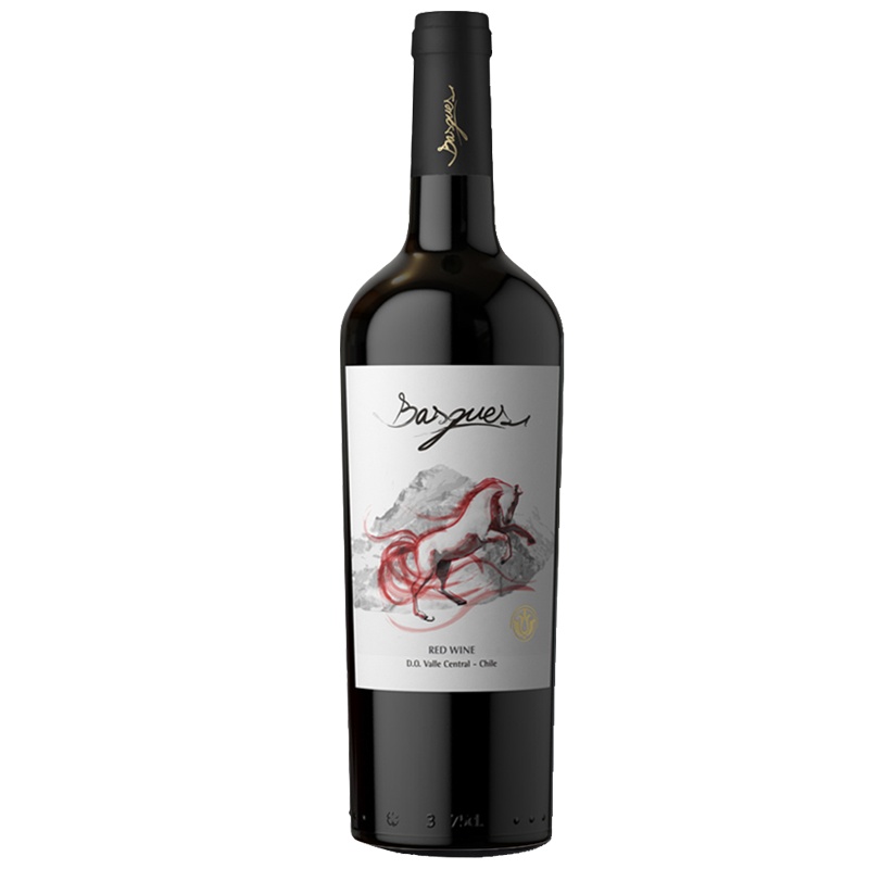 圣彼得酒庄巴诗歌系列赤霞珠干红葡萄酒 750ml十二支整箱装 DO级 智利中央山谷原瓶进口红酒 单支装750ml*12