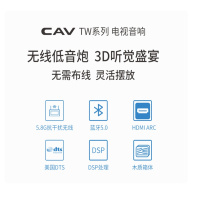 CAV B&C定制 K-12 单12"主音箱 音响设备