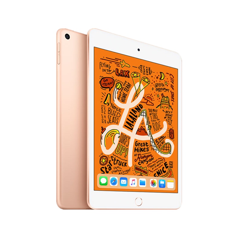 2019款 Apple iPad mini5 7.9英寸 平板电脑(64GB WLAN版 MUQW2CH/A 深空灰色)