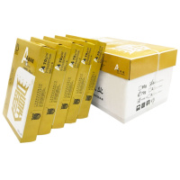 帝彩纸业 A4复印纸 210mm*297mm 70G纸皇 5000页/箱 10包/箱