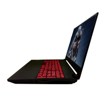 炫龙(shinelon)T3PRO-781S5N 15.6英寸游戏本学生笔记本电脑(英特尔新一代处理器 8GB 512GB SSD+1TB 新显卡 4G独显 IPS)