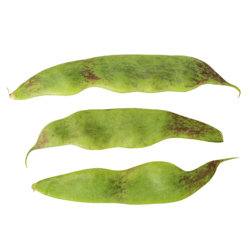 东北豆角油豆角新鲜蔬菜一点红油豆角面豆角开锅烂多省 3斤油豆角