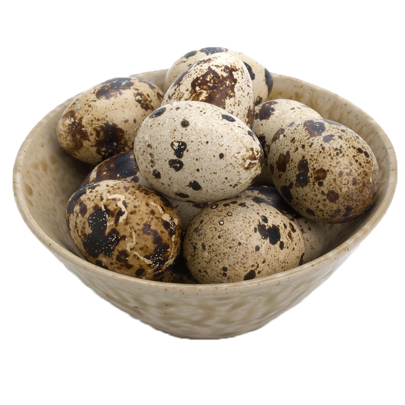 新鲜生鹌鹑蛋25枚新鲜农家正宗杂粮喂养产地直发破损包赔非鸡蛋鸭蛋变蛋变蛋鹅蛋