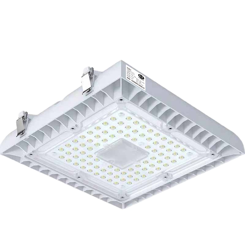 尚关(SHANGGUAN) 雨棚灯 SQ-Z10 AC220V LED 40W