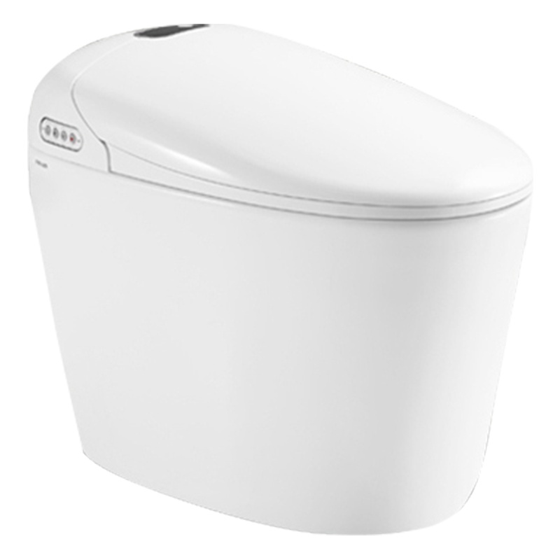 法恩莎马桶智能马桶坐便器卫浴遥控一体多功能即热式智能马桶自动冲水马桶 FB16163