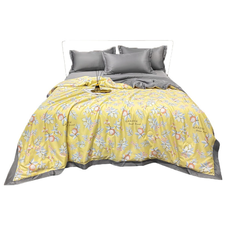 花花公子(PLAYBOY) 冰丝夏凉被双人夏季空调被夏被可水洗单人春秋被薄款被子夏天