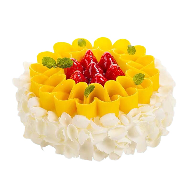 爱达乐 200型生日蛋糕 蛋糕 图案以实物为准 (德阳 绵阳 成都天府温江 眉山乐山 简阳 资阳 峨眉地区使用)