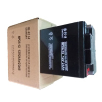 德利仕蓄电池NP24-12 12V 24AH