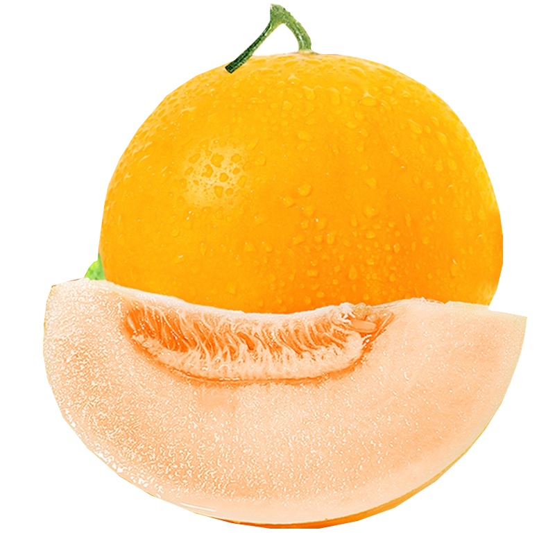 [五个农民]甘肃民勤金红宝蜜瓜现摘蜜瓜1个装2.5-3斤应季水果甜瓜