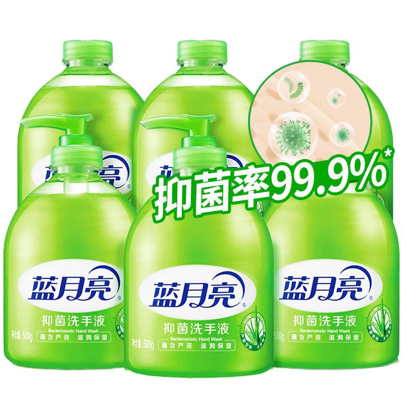 蓝月亮 芦荟抑菌洗手液 500g*12 一箱装 0086