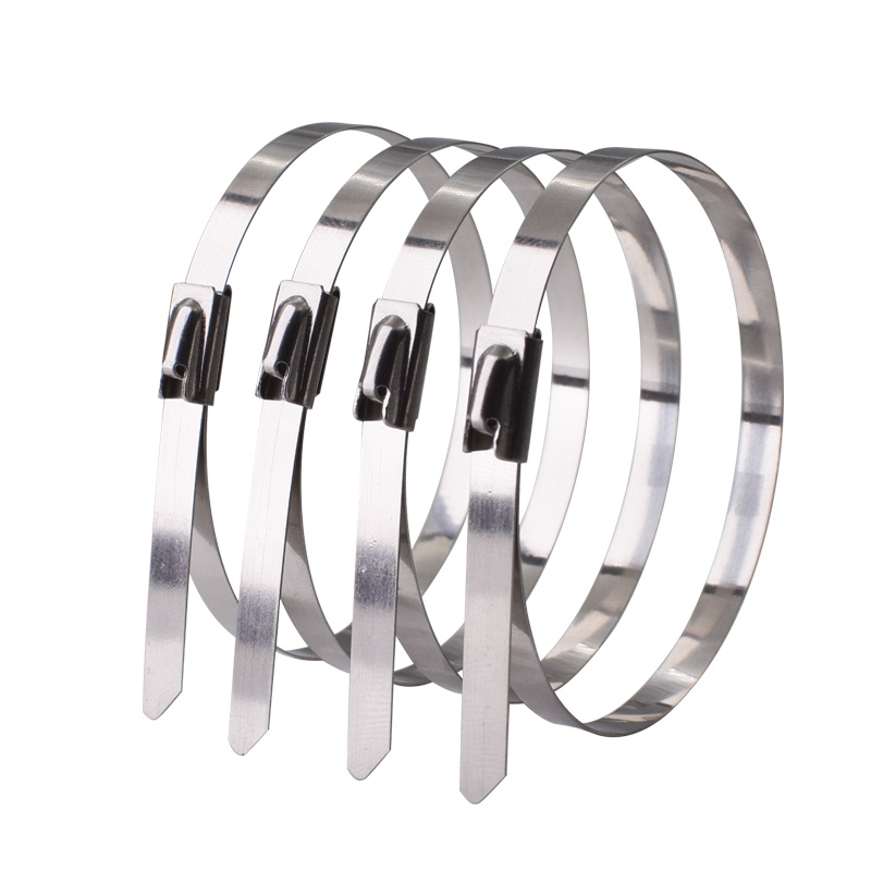 勒塔(LETA)不锈钢自锁扎带4.6×150mm耐腐蚀耐高低温铁路电信电网金属铭牌机械设备捆绑扎带LT-TK771