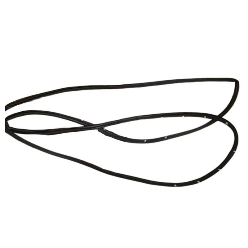 东风EQ1118 左车门外密封条总成