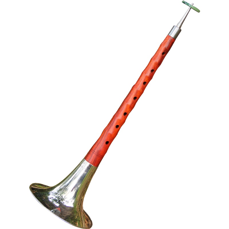 梵巢 唢呐 红花梨木演奏 初学 红白喜事B C D E F G调 吹奏民族乐器 D调唢呐