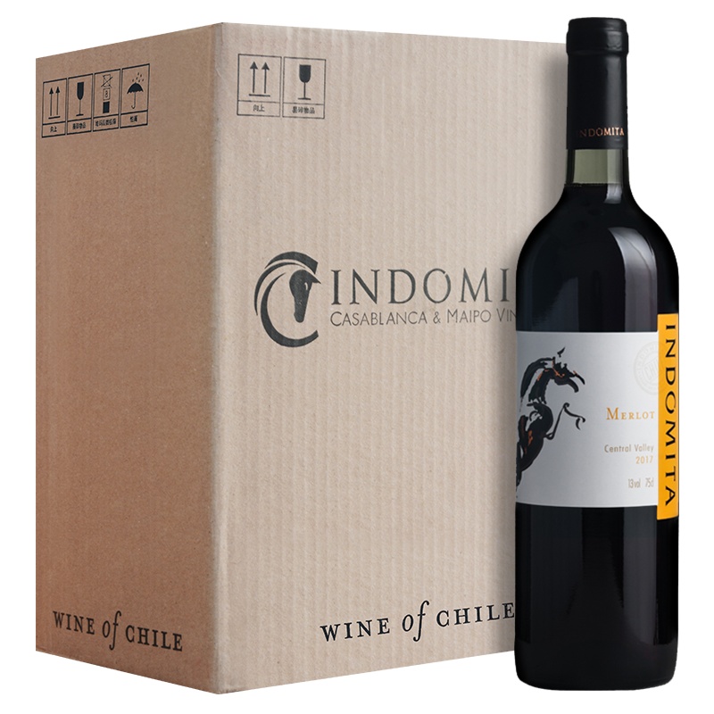 张裕先锋智利原瓶进口红酒 格狮马美乐干红葡萄酒整箱装750ml*6 魔狮酒庄CHANGYU