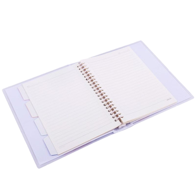 申士3425活页替芯 100张/包