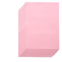 晨光 彩色a4打印复印纸80g加厚彩纸 粉红100张/包