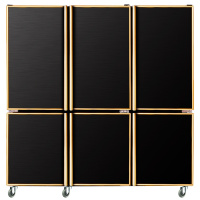 五洲伯乐(WUZHOUBOLE)CF-1800无磁铜管厨房冰箱 1300L六门厨房柜 双机全冷冻柜立式冷柜 商用点菜柜速